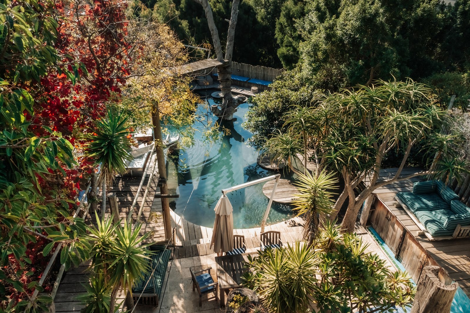 Pool from above among the trees at Wonderland Retreat & Spa, Hout Bay, Cape Town