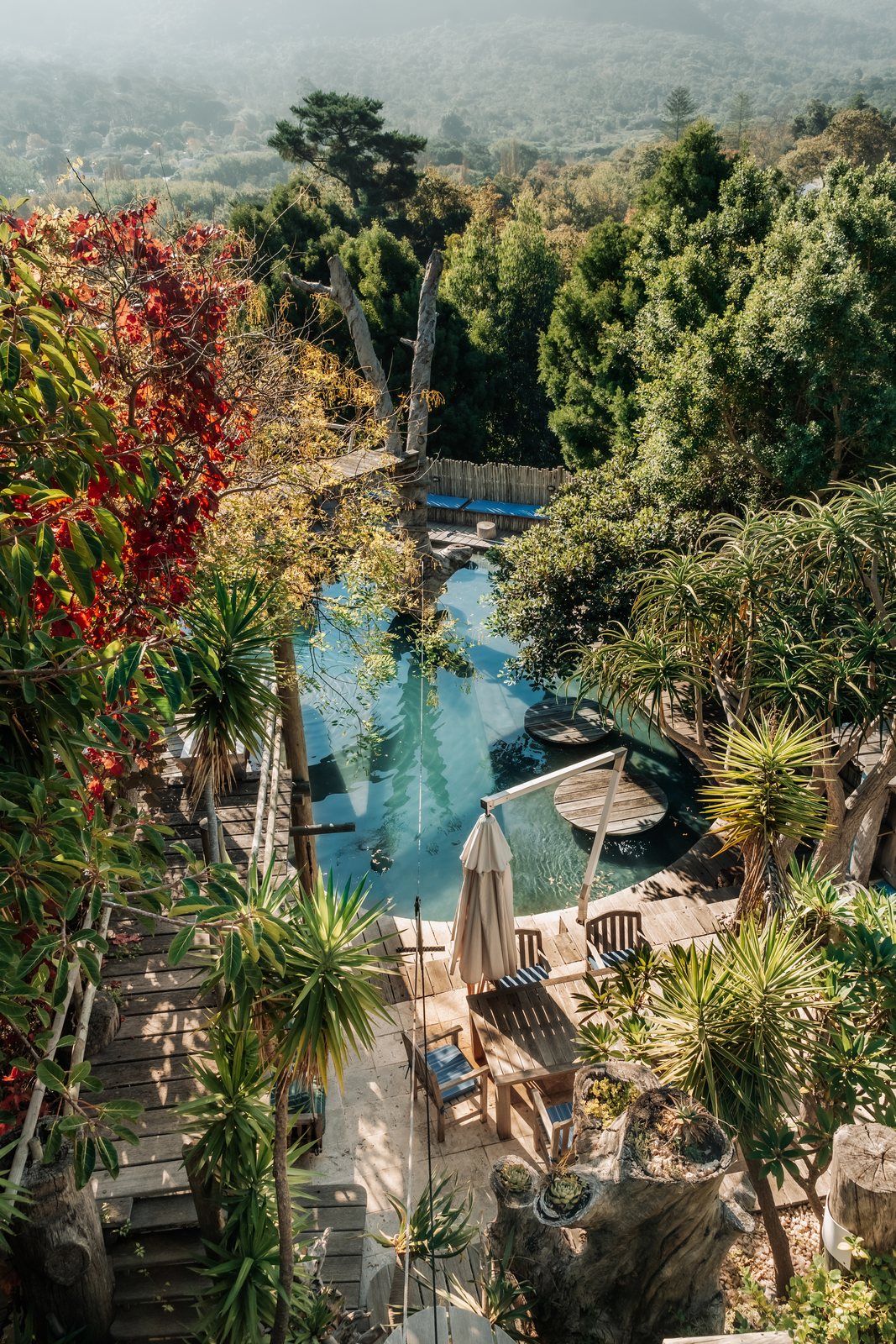Pool and garden with the valley beyond at Wonderland Retreat & Spa, Hout Bay, Cape Town