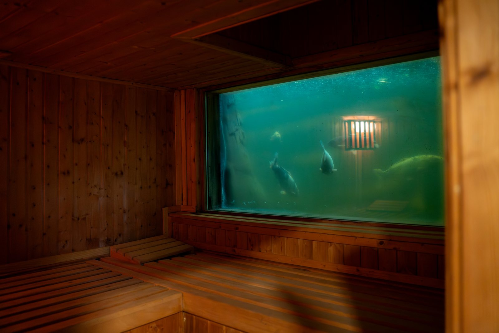 Koi sauna with a window into the koi pond at Wonderland Retreat & Spa, Hout Bay, Cape Town
